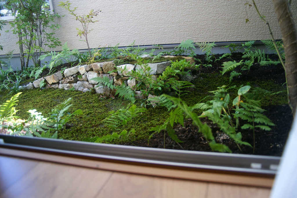 苔と歯朶の坪庭