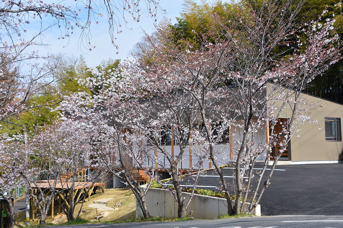 小割の石の庭