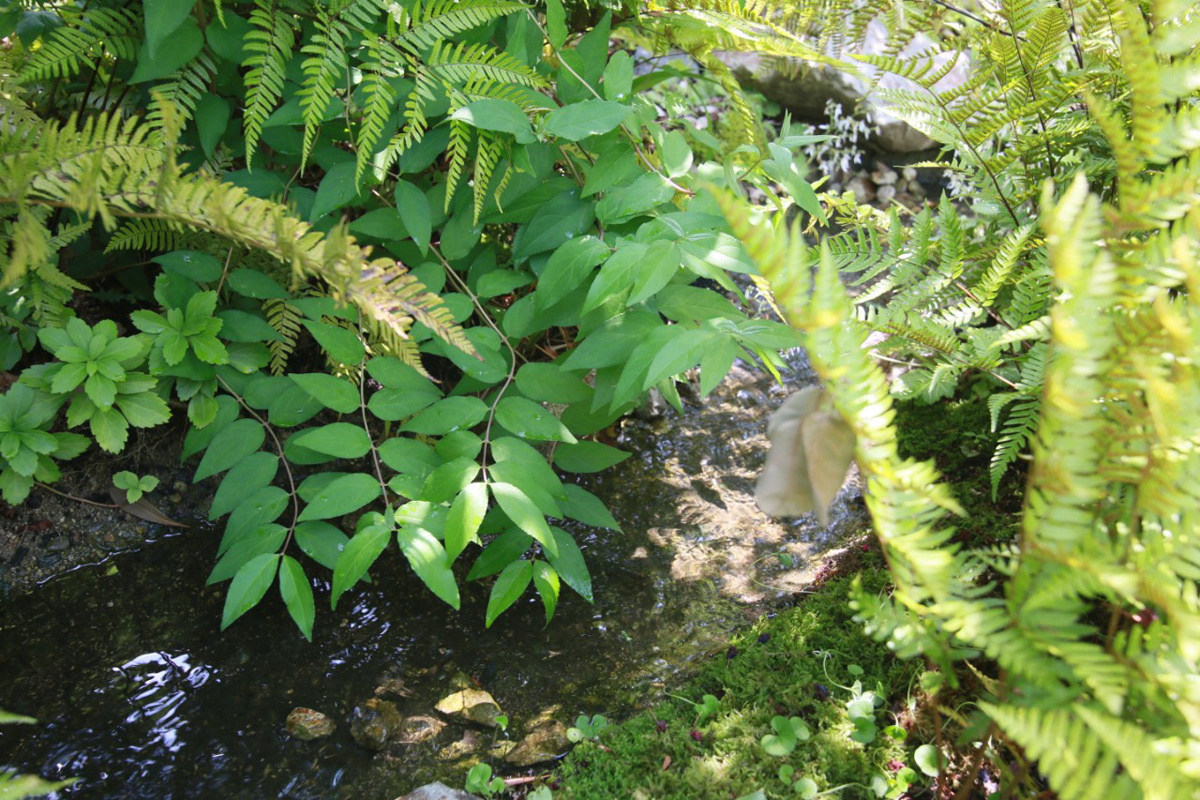 小割の石の庭