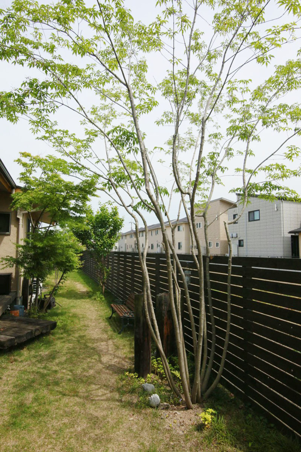 小割の石の庭