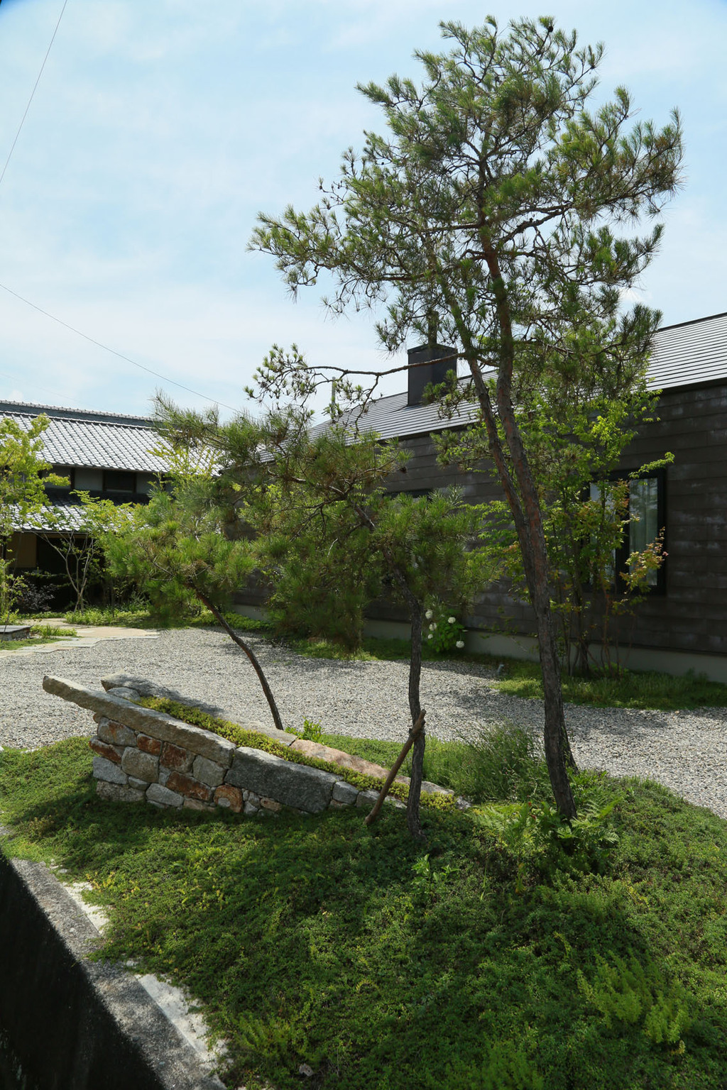 池井戸の庭