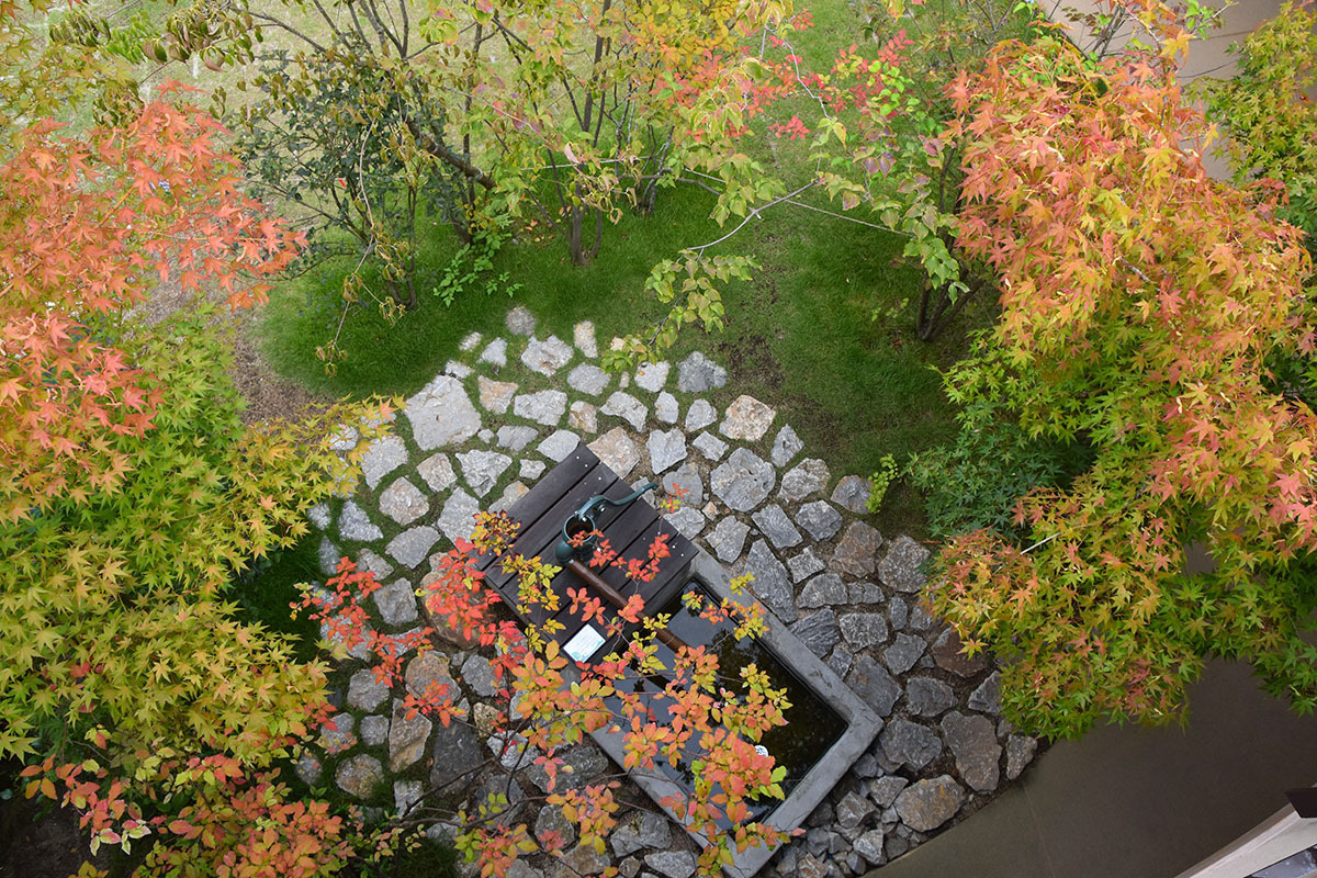 池井戸の庭